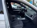Audi Q5 S line 40 TDI quattro S tronic MMI Matrix AHK Blanco - thumbnail 10