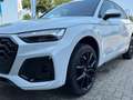 Audi Q5 S line 40 TDI quattro S tronic MMI Matrix AHK Blanco - thumbnail 6