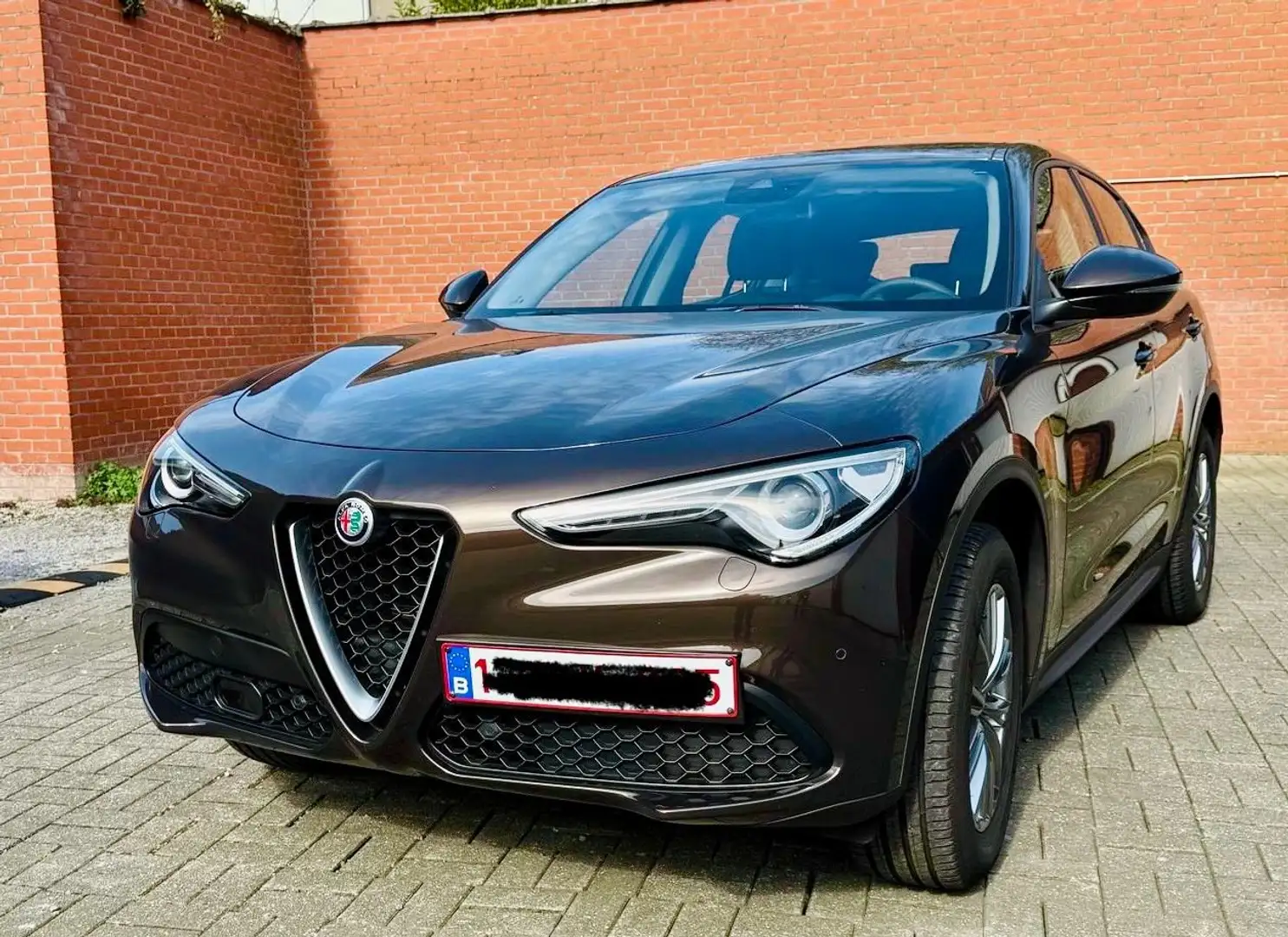 Alfa Romeo Stelvio 2.0 T AWD B-Tech (EU6d-TEMP) Maro - 2