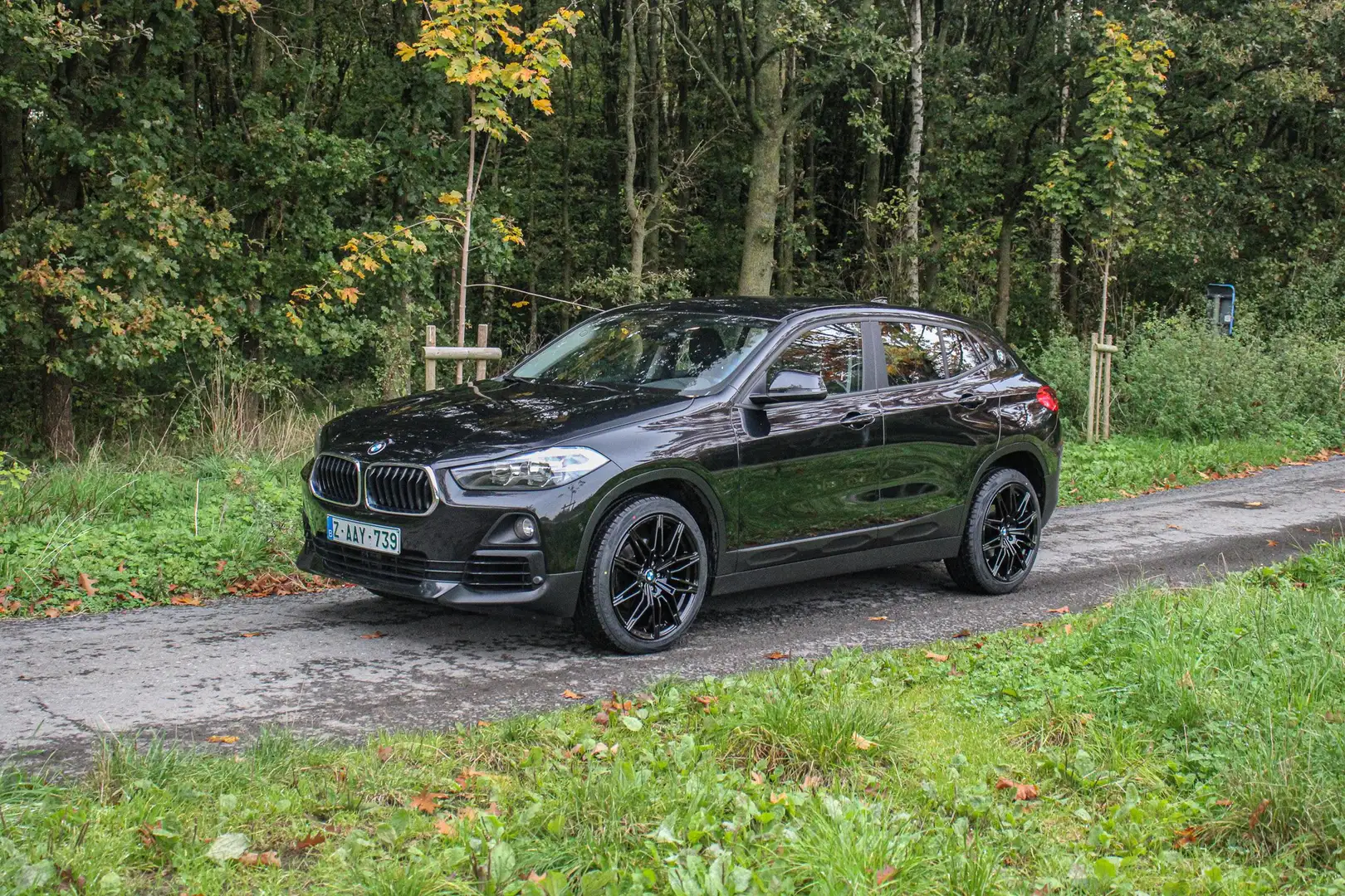 BMW X2 X2 sDrive18i Aut. *19Inch M pack design wheels Чорний - 1