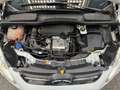 Ford C-Max 1.0 Ecoboost Auto-S&S Trend 125 - thumbnail 12