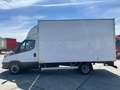 Iveco Daily 35C16 Achterdeuren (15 diverse modellen op voorraa Wit - thumbnail 17
