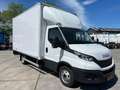 Iveco Daily 35C16 Achterdeuren (15 diverse modellen op voorraa Wit - thumbnail 4