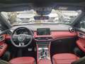 MG EHS 1.5 T-GDi PHEV Luxury Pano LED+ ACC SHZ 360° Negro - thumbnail 10