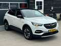 Opel Grandland X 1.2 Turbo Business Executive - Panorama - Automaat Wit - thumbnail 26