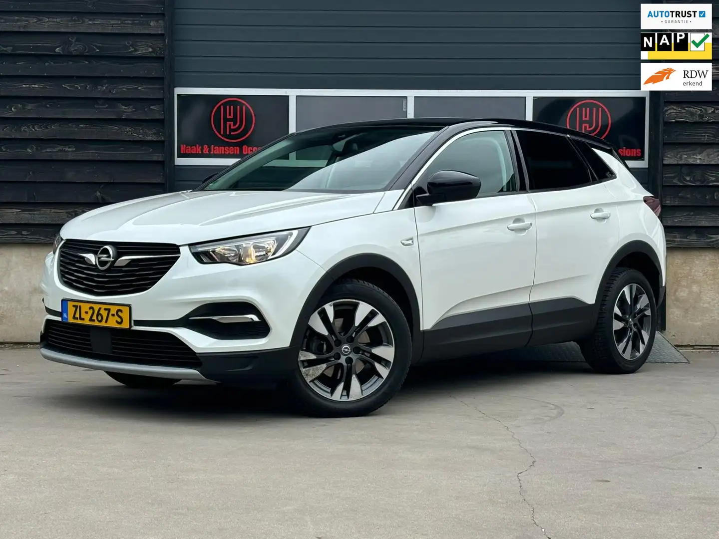 Opel Grandland X 1.2 Turbo Business Executive - Panorama - Automaat Wit - 1