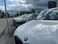 BMW X1 X1 xDrive20d 48V Aut. " M-PAKET,AHK" Grau - thumbnail 4