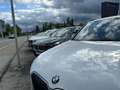 BMW X1 X1 xDrive20d 48V Aut. " M-PAKET,AHK" Grau - thumbnail 2