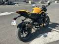 Triumph Street Triple 765 - thumbnail 5