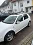 Volkswagen Golf - thumbnail 2
