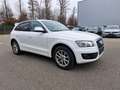 Audi Q5 2.0 TDI 125 kW Quattro*PDC*SHZ*Gewerbe o. Exp Weiß - thumbnail 3