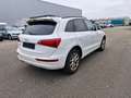 Audi Q5 2.0 TDI 125 kW Quattro*PDC*SHZ*Gewerbe o. Exp Weiß - thumbnail 4