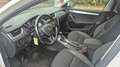 Skoda Octavia Combi 1.0 TSI Greentech Ambition Business LET OP R Blanc - thumbnail 21