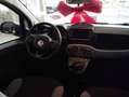 Fiat New Panda 12  BENZINA GPL DI CASA  MYLIFE KM17000 Bianco - thumbnail 6