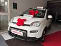 Fiat New Panda 12  BENZINA GPL DI CASA  MYLIFE KM17000 Bianco - thumbnail 4