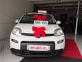 Fiat New Panda 12  BENZINA GPL DI CASA  MYLIFE KM17000 Bianco - thumbnail 9