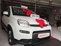 Fiat New Panda 12  BENZINA GPL DI CASA  MYLIFE KM17000 Bianco - thumbnail 1