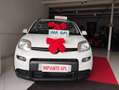 Fiat New Panda 12  BENZINA GPL DI CASA  MYLIFE KM17000 Bianco - thumbnail 7