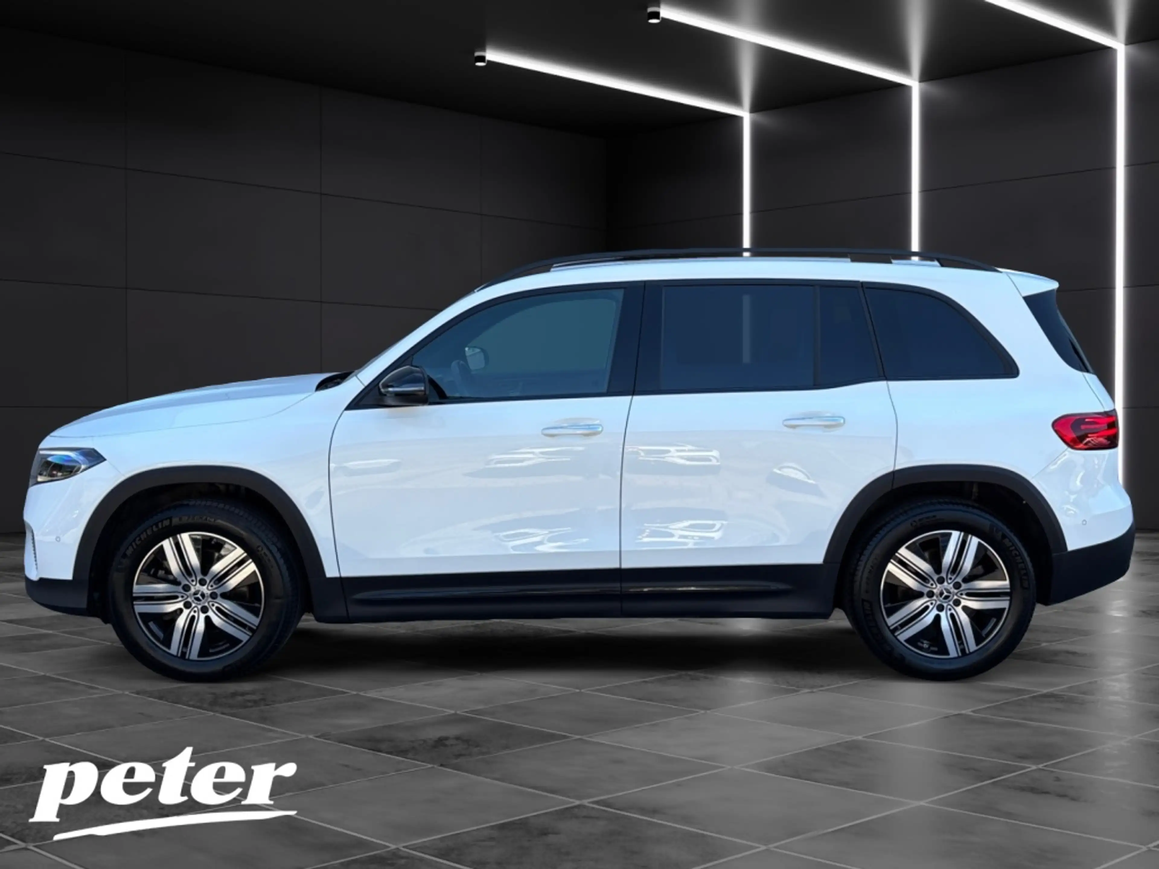 Mercedes-Benz EQB 250 + Night*Electric Art*LED*Distronic*AHK* — photo 20