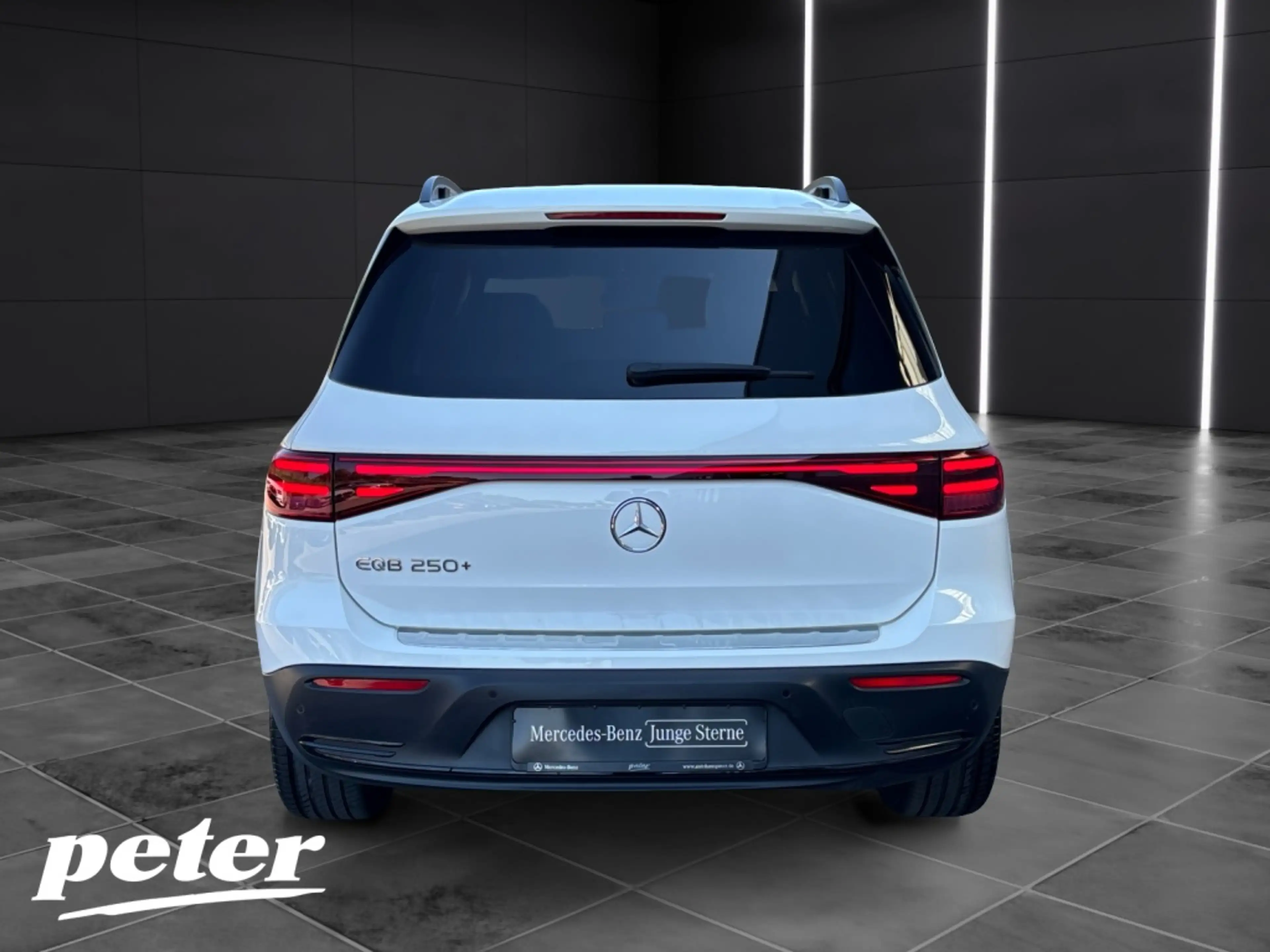Mercedes-Benz EQB 250 + Night*Electric Art*LED*Distronic*AHK* — photo 5