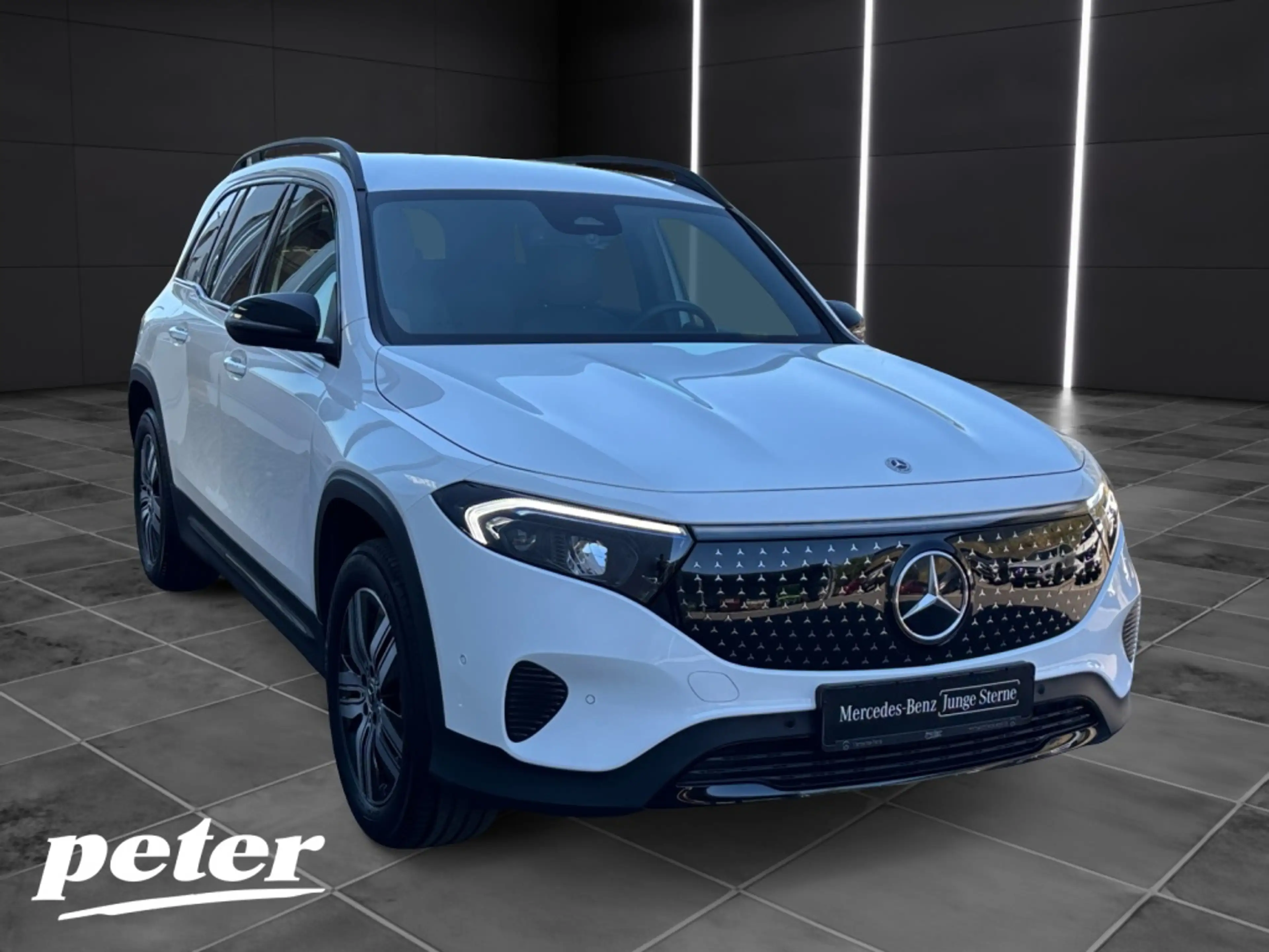 Mercedes-Benz EQB 250 + Night*Electric Art*LED*Distronic*AHK* — photo 4