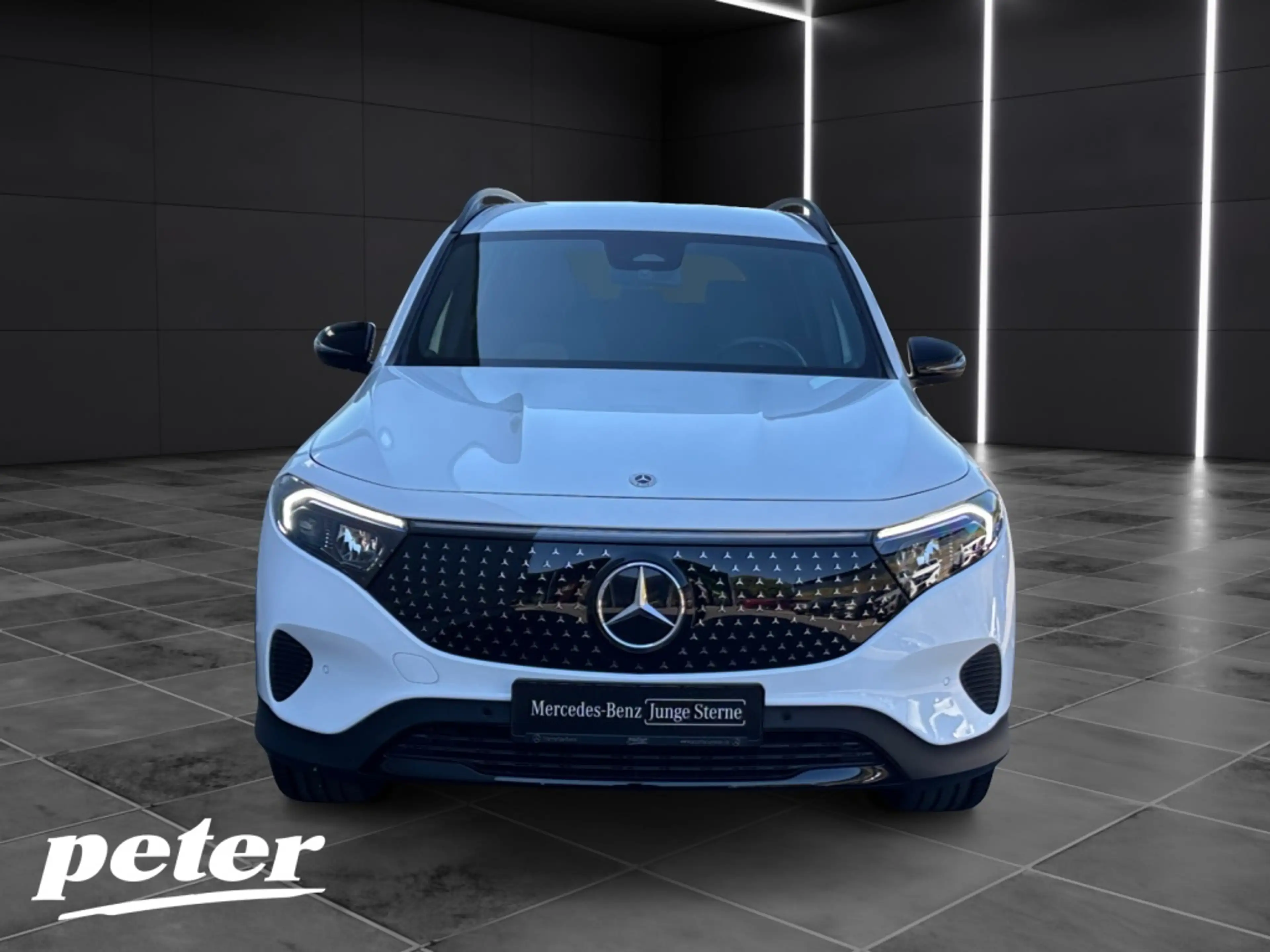 Mercedes-Benz EQB 250 + Night*Electric Art*LED*Distronic*AHK* — photo 3