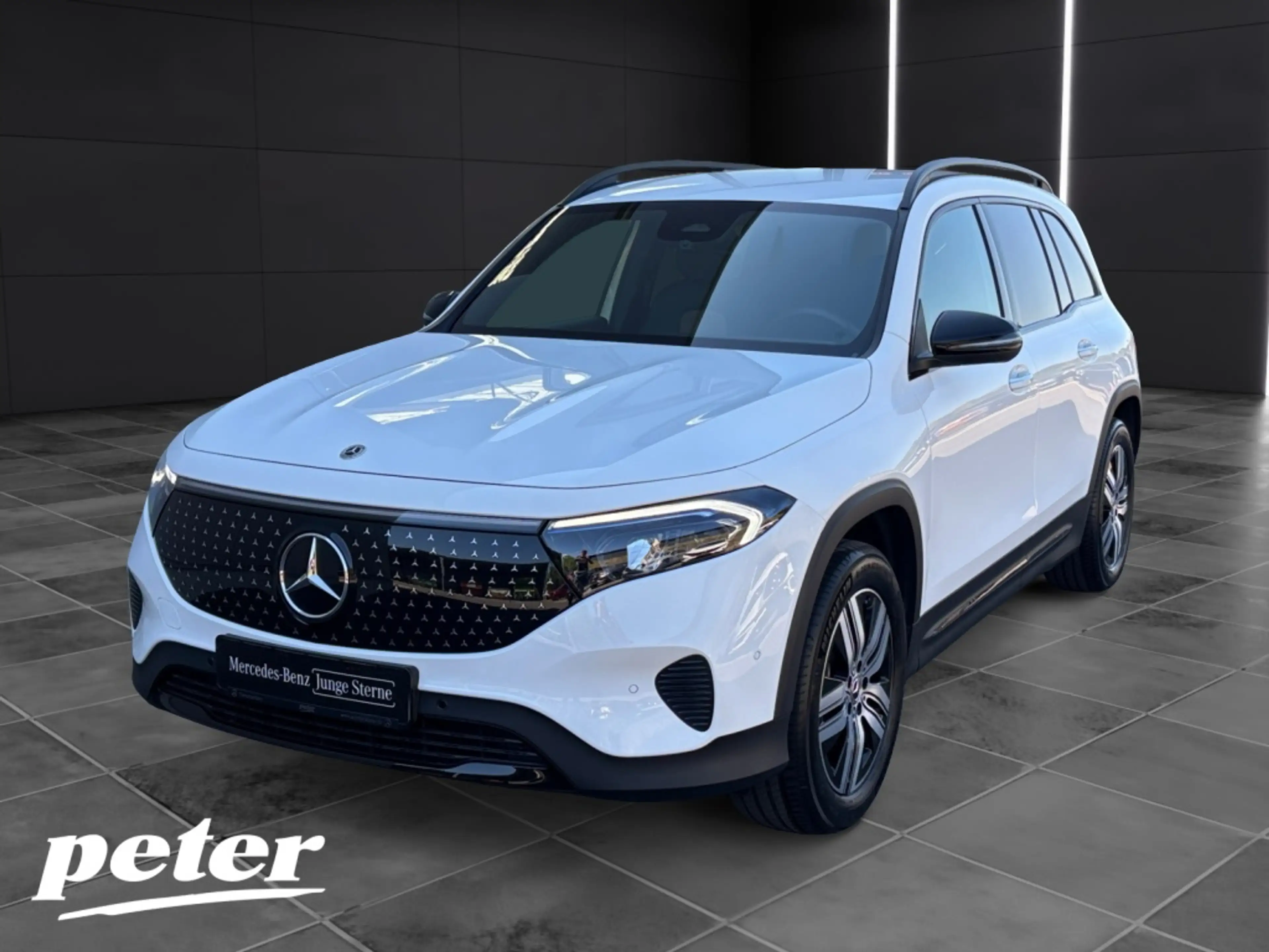 Mercedes-Benz EQB 250 + Night*Electric Art*LED*Distronic*AHK*