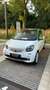 smart forFour electric drive / EQ (453.091) zelena - thumbnail 1