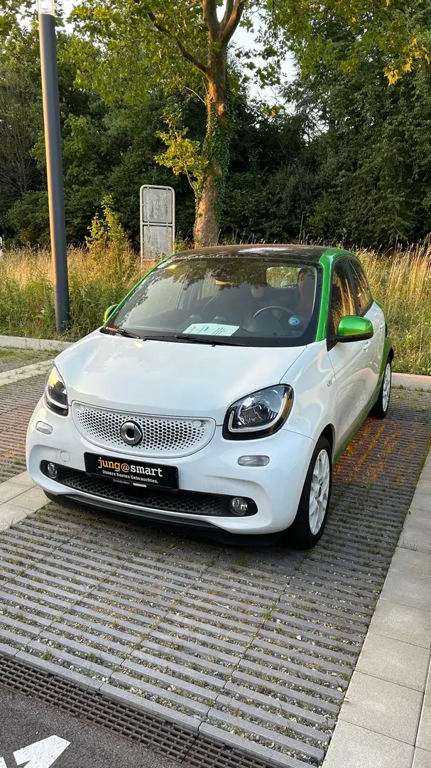 smart forFour electric drive / EQ (453.091) zelena - 1