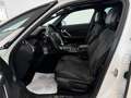 Citroen DS5 Hybrid4 Airdream Sport CMP Blanco - thumbnail 7