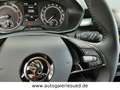 Skoda Fabia Style *SHZ*REGENSENSOR*KLIMA* Grau - thumbnail 14