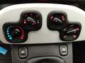 Fiat Panda PANDINA 1.0 70CV HYBRID (CROSS) Gris - thumbnail 23