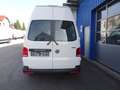 Volkswagen Sonstige T6.1 LR/HD 2,0 TDI 4-Motion L2H2 3,2t Weiß - thumbnail 9