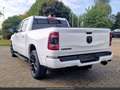 Dodge RAM Sport Night 12P 5.7L 4x4 Tout compris hors homologation 4500e Wit - thumbnail 8