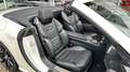 Mercedes-Benz SL 63 AMG V8 Biturbo - R231 - 1. Hand - Massage - 42038km Blanco - thumbnail 35