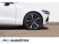Volvo V60 B4 Core AHK/STHZ/CAM/ACC/Google/SHZ hinten Alb - thumbnail 4
