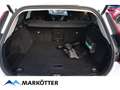 Volvo V60 B4 Core AHK/STHZ/CAM/ACC/Google/SHZ hinten Alb - thumbnail 13