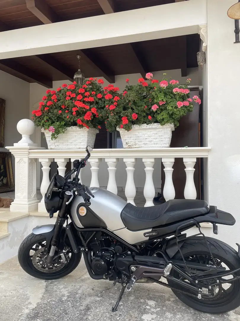 Benelli Leoncino 500 Trail - 1