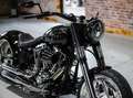 Harley-Davidson Fat Boy 300er Umbau -Jekill&Hyde- Ricks by BSB customs - thumbnail 14