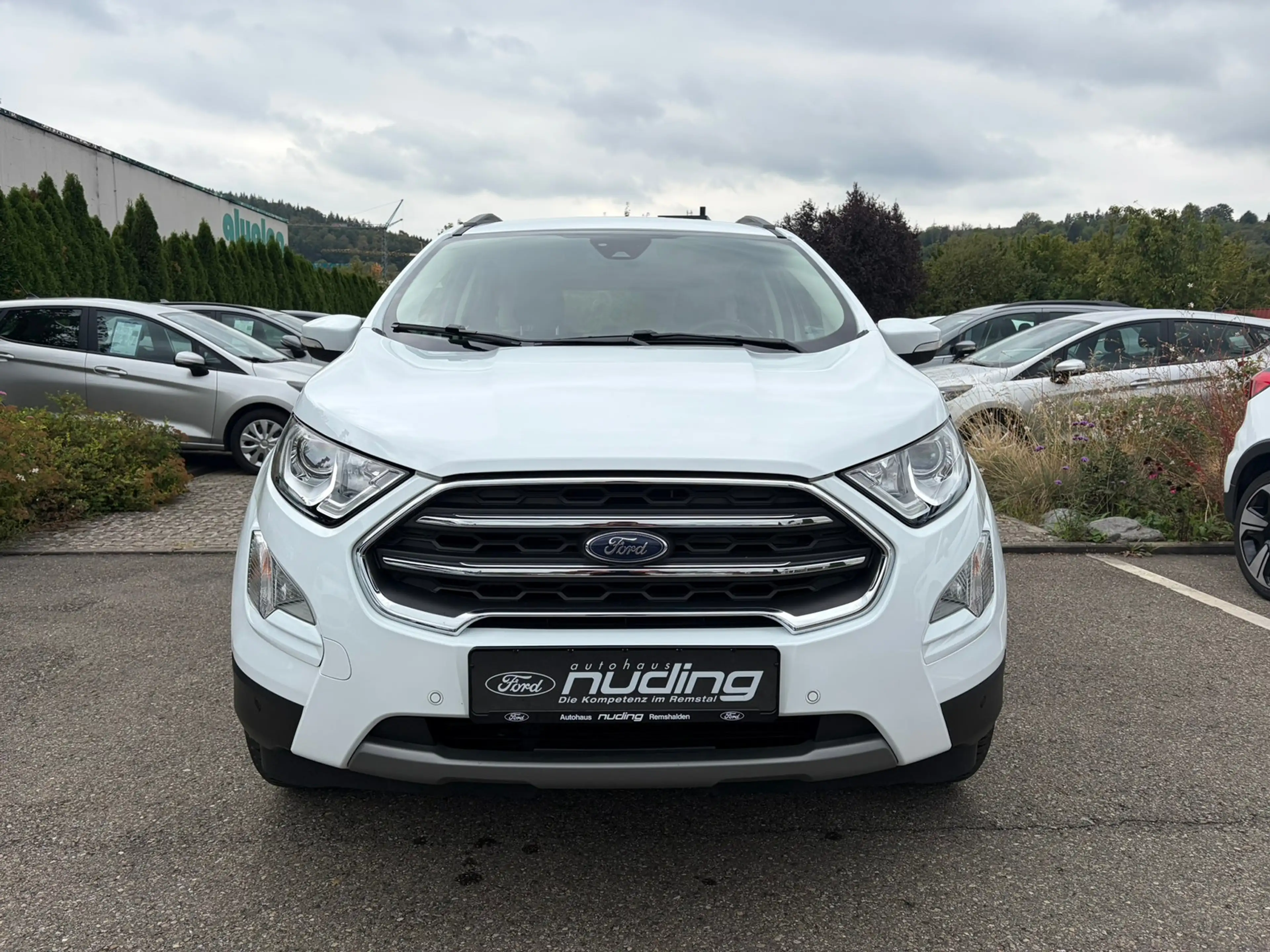 Ford EcoSport 1.0 EcoBoost Titanium RFK/BLIS/LED/DAB — photo 3