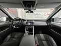 Land Rover Range Rover Sport 3.0TDV6 SE Aut. Grigio - thumbnail 5