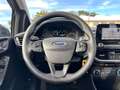 Ford Fiesta Fiesta 5p 1.5 tdci Titanium 85cv - thumbnail 8