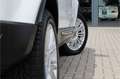 Land Rover Range Rover Evoque Coupé 2.2 SD4 4WD 190pk Dynamic PANO LEER 19" MERI Alb - thumbnail 17