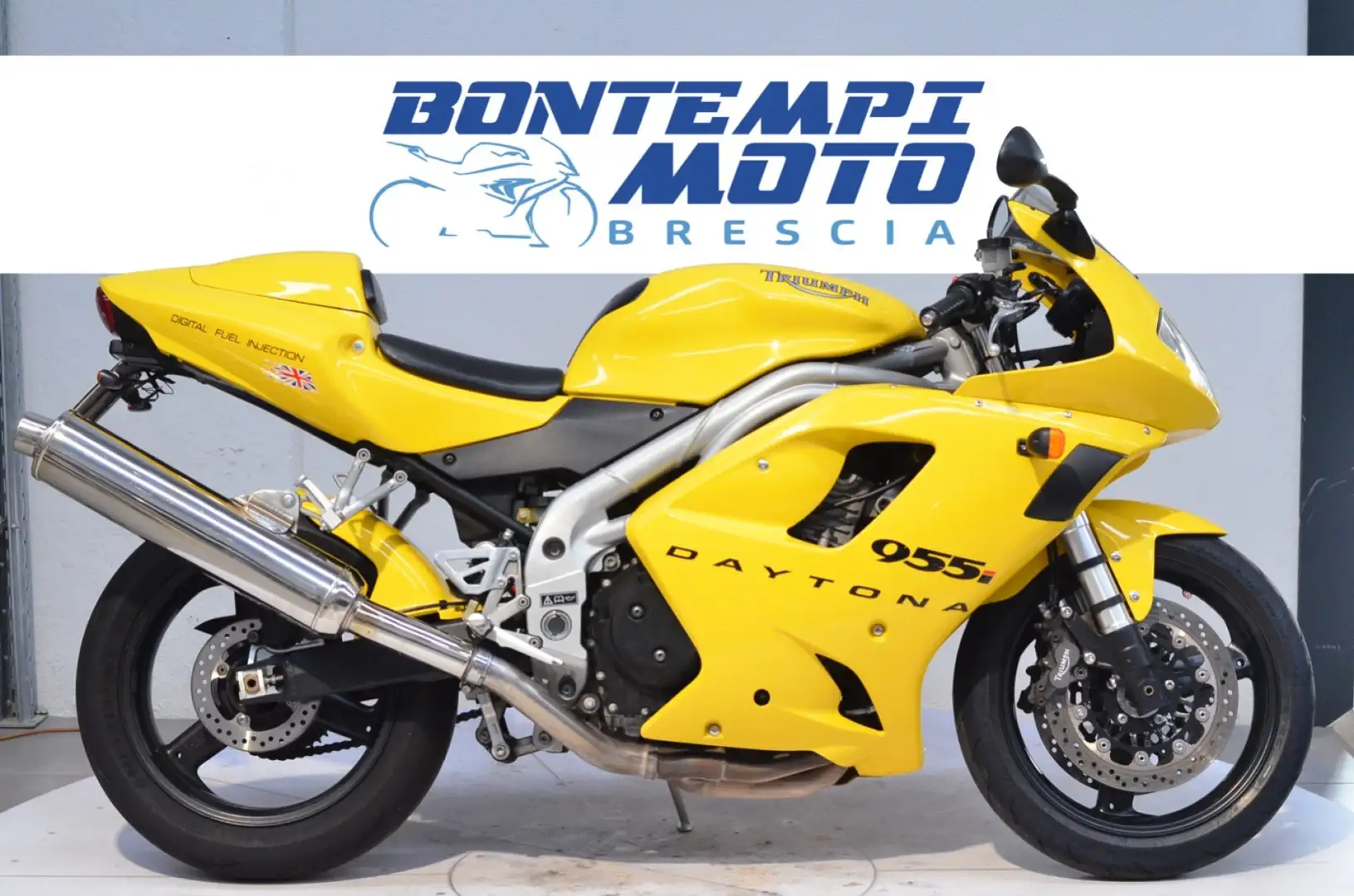 Triumph Daytona 955 I 2003 Giallo - 1