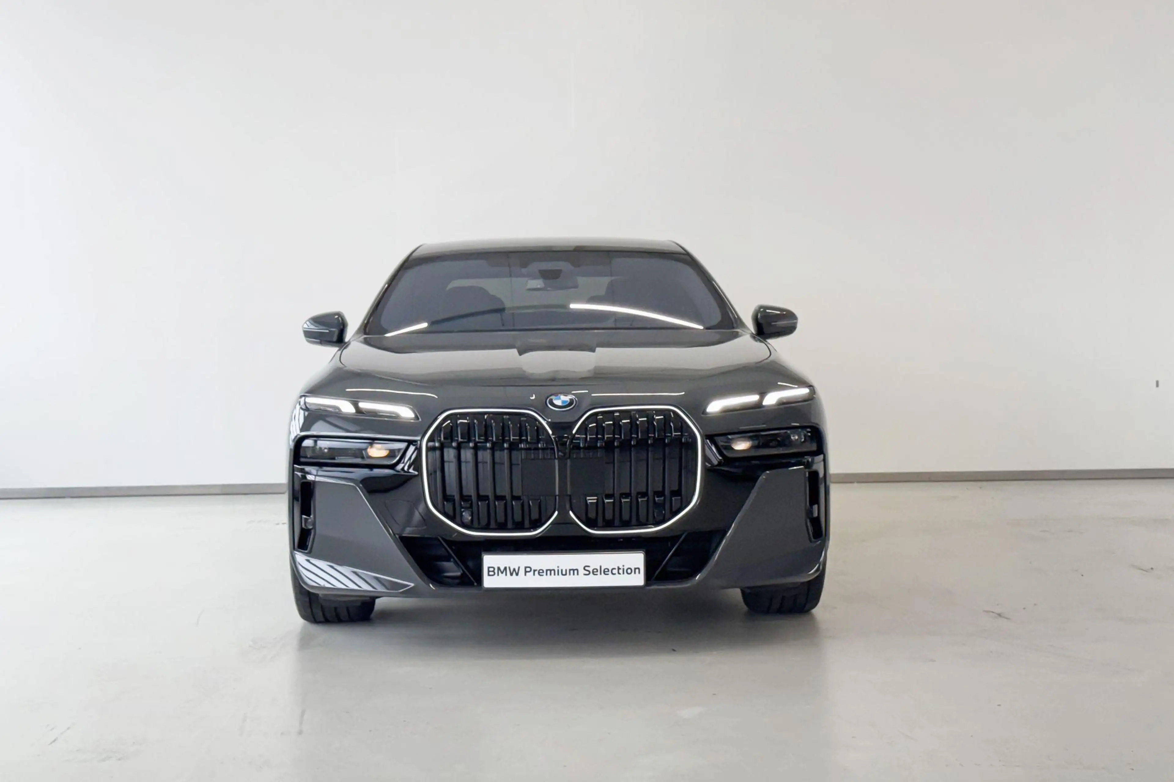 BMW i7 eDrive50 Privilege Edition M Sportpakket Pro — photo 6