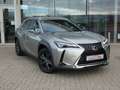 Lexus UX 250h Hybrid TREKHAAK +LEDER +Zetelverwarming +Dodehoek Beige - thumbnail 2