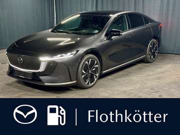 258PS TAKUMI*LEDER-S*PANO