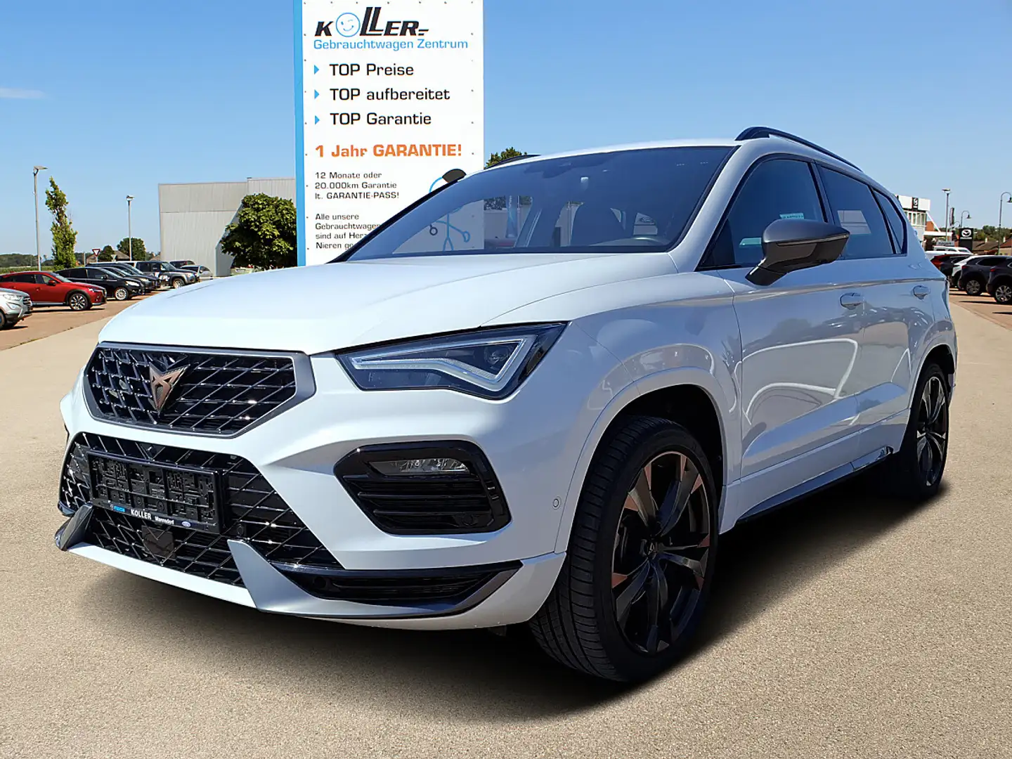 CUPRA Ateca 2,0 TSI 4Drive DSG 190 Weiß - 1