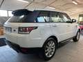 Land Rover Range Rover Sport Range Rover Sport 3.0 tdV6HSE Dynamic auto my16 E6 Bianco - thumbnail 6