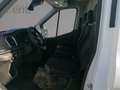 Ford Transit Kasten TREND L2H2 Service-Line- Sortimo Negru - thumbnail 6